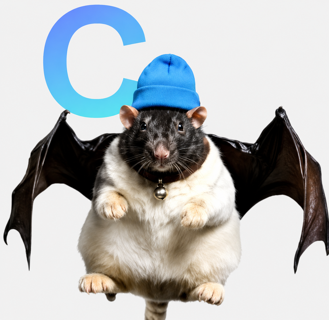 FatCatBatRatWifHat with glowing USDC coin